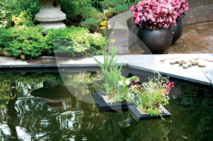 Image du produit Velda L'île flottante des plantes