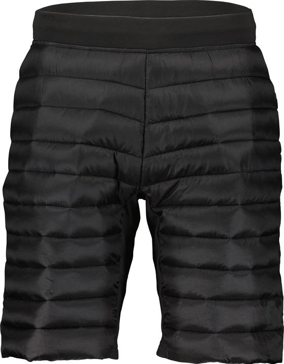 Actual product image Scott Sports Insuloft Tech Shorts (L)