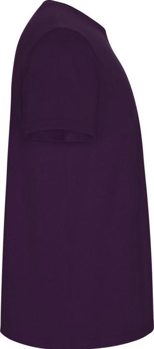 Image du produit Alpinia - T-shirt STAFFORD - Homme (M)