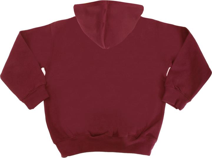Produktbild Awdis Kapuzen Pullover Varsity (12, 13)