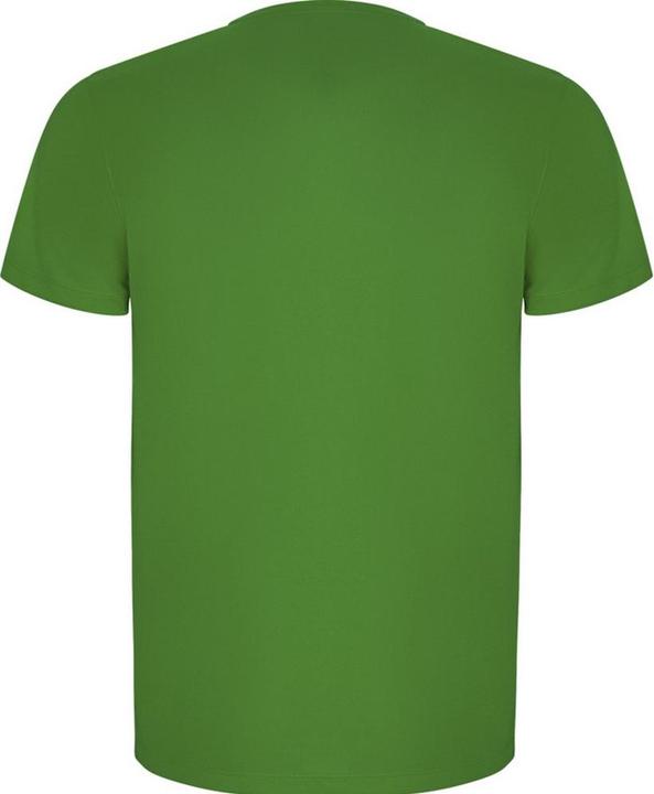 Actual product image Alpinia Mens Imola Short-Sleeved Sports T-Shirt (S)