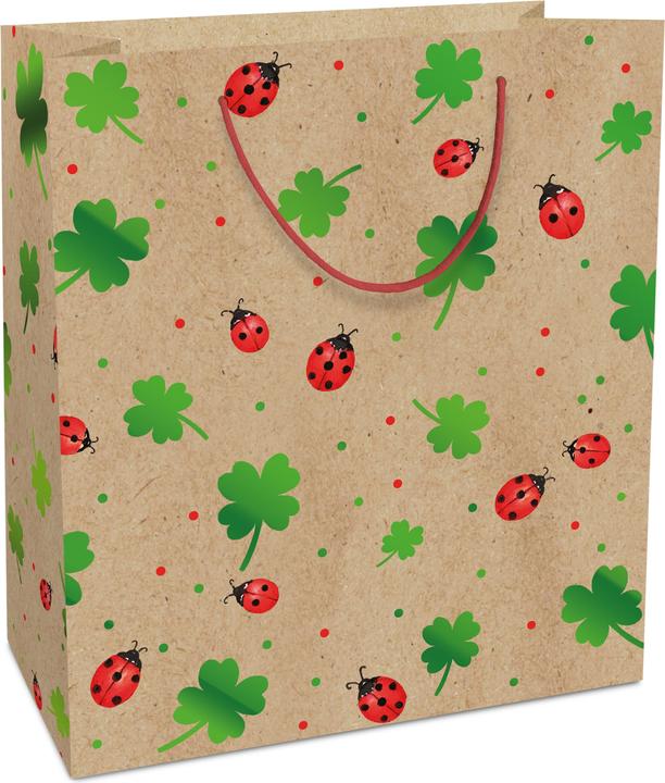 Actual product image Braun + Company Gift Carrier Bag Natural Luck (Gift bag, 1 x)