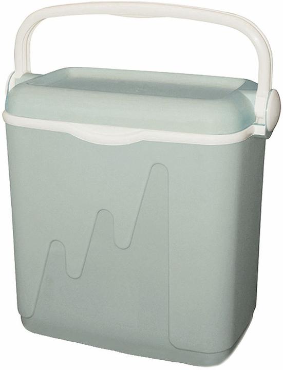 Actual product image Curver Cool box 20 litre (20 l)