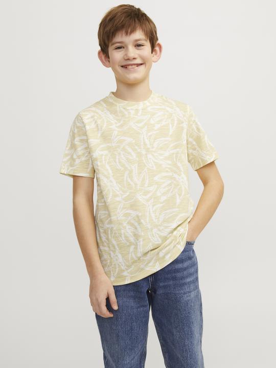 Image du produit Jack & Jones Jorlafayette Aop Tee Ss Crew Neck Jnr (176)