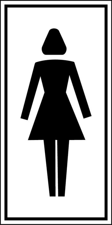 Image du produit Brady PIC 465-075X150-B7541 (BRANDED), Panneaux de signalisation - toilettes pour femmes