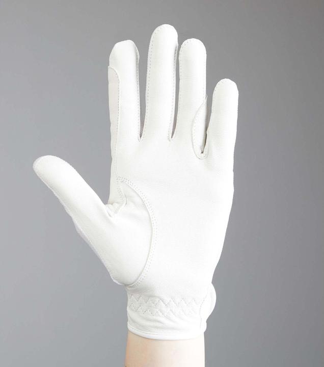 Immagine prodotto Premier Equine Bordoni (L)