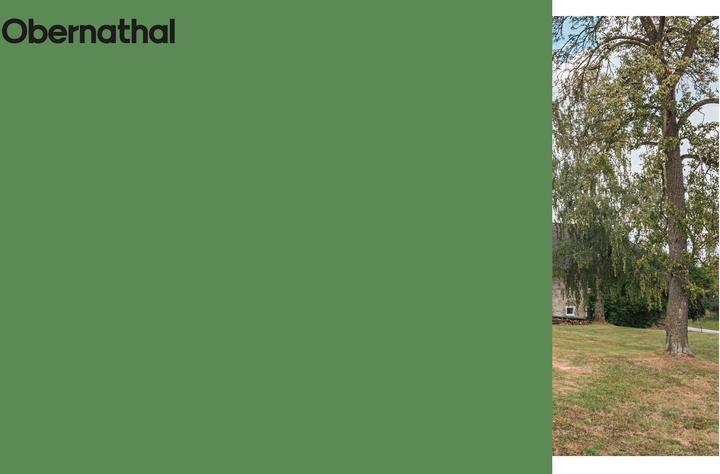 Produktbild Thomas Bernhard Hab & Gut (Deutsch, Barbara Vinken, Dietmar Steiner, 2019)