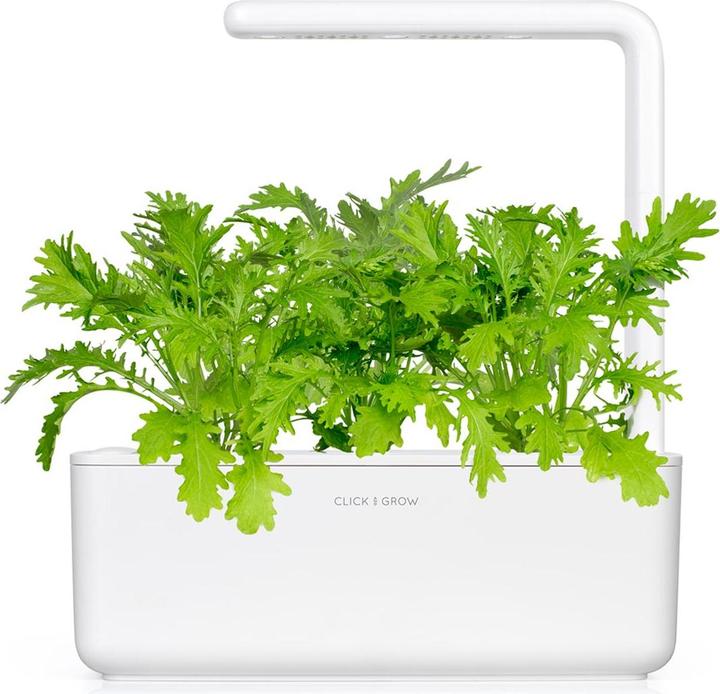 Immagine prodotto Click and Grow senape di foglia (Semi di erbe)