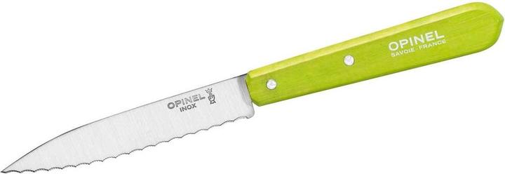 Image du produit Opinel 001920 Couteau de cuisine No. 113 manche en hêtre vert clair (9.40 cm)