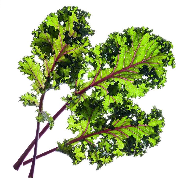 Actual product image Click and Grow Red cabbage (Vegetable seeds)