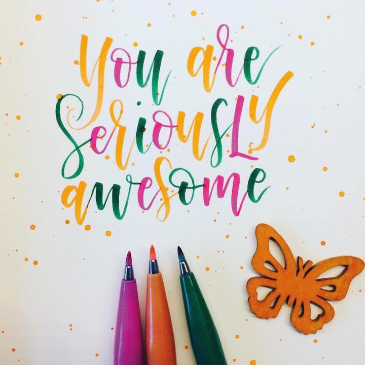 Immagine prodotto Pentel Penna segno pennello, penna in fibra (Multicolore, 1 x)