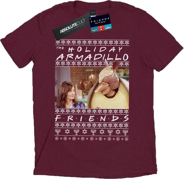 Actual product image Friends Mens Fair Isle Holiday Armadillo T-Shirt (S)