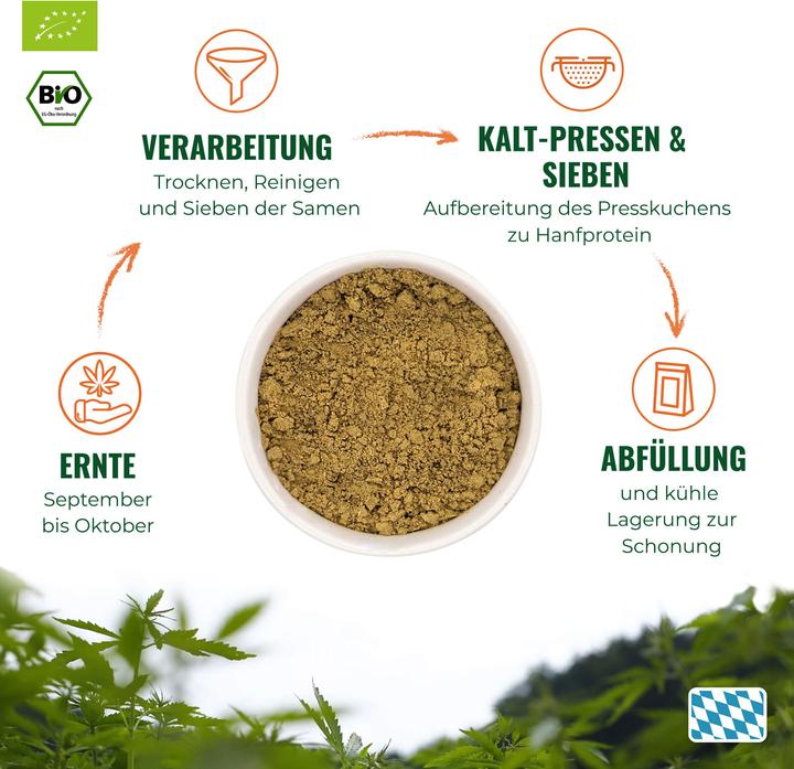 Actual product image Hans Brainfood Hemp protein (Neutral, 350 g)