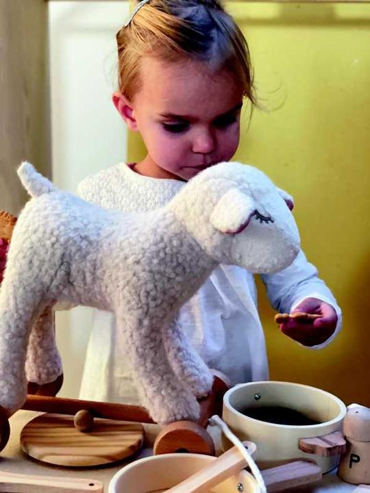Actual product image Egmont Sheep Marie on Wheels