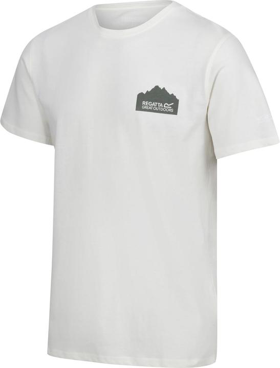 Actual product image Regatta Mens Breezed IV Graphic Print T-Shirt (M)