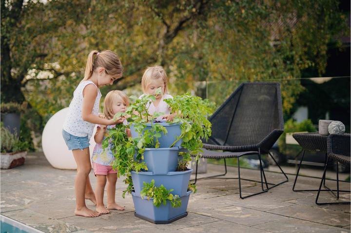 Produktbild Gusta Garden Aufzuchttöpfe PAUL POTATO Starter, 4 Etagen, Blaugrau (38.80 cm)