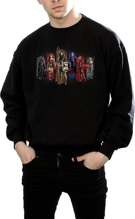 Produktbild Justice League Movie Team Hexagons Sweatshirt (XXL)