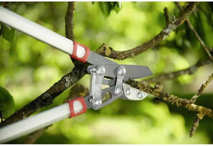 Actual product image Wolf-Garten Branch shears