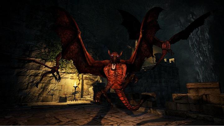Image du produit Capcom Dragon's Dogma : Dark Arisen -US- (Switch, Switch Lite, Switch OLED, EN)