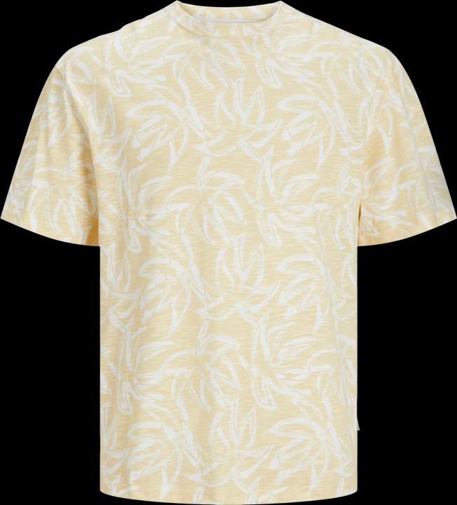 Image du produit Jack & Jones Jorlafayette Aop Tee Ss Crew Neck Jnr (176)