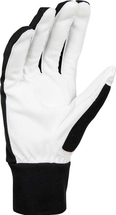 Produktbild Daehlie M Glove Race Warm (6)