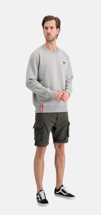 Actual product image Alpha Industries Sweatshirt (L)