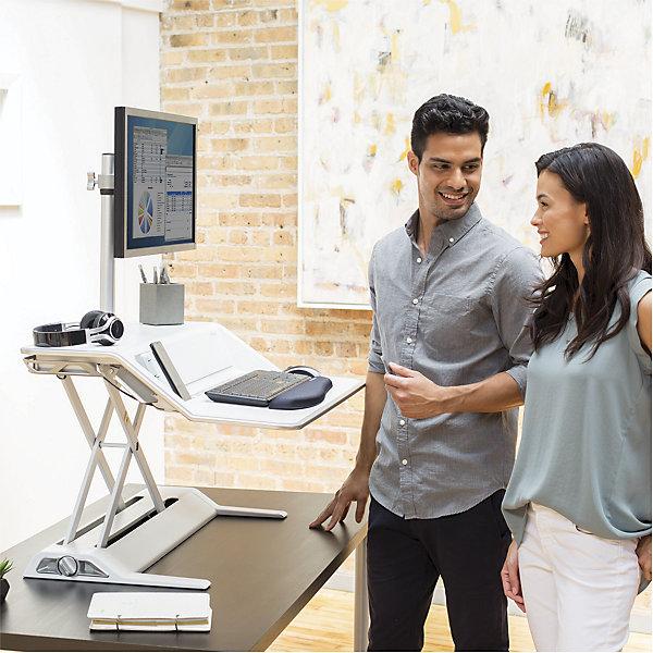Produktbild Fellowes Lotus DX