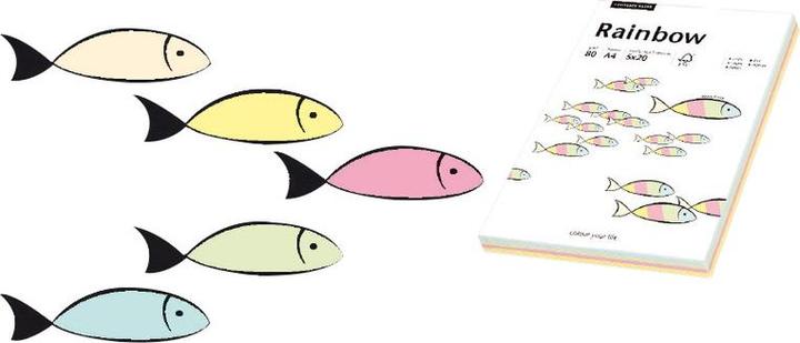 Image du produit Papyrus Papier Pastel Rainbow Mix (80 g/m², 100 x, A4)