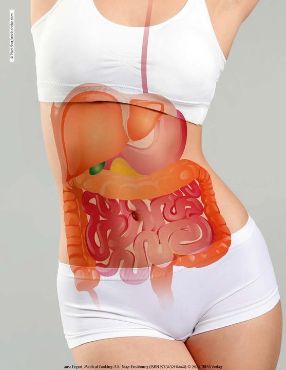 Actual product image Medical Cooking: F.X. Mayr-Ernährung (German, Sepp Fegerl, Philipp Buttinger, 2024)