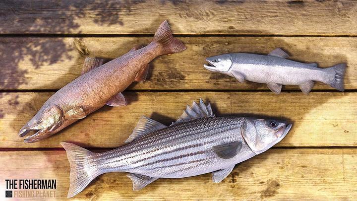 Actual product image Bigben The Fisherman : Fishing Planet - Day One (PS4)