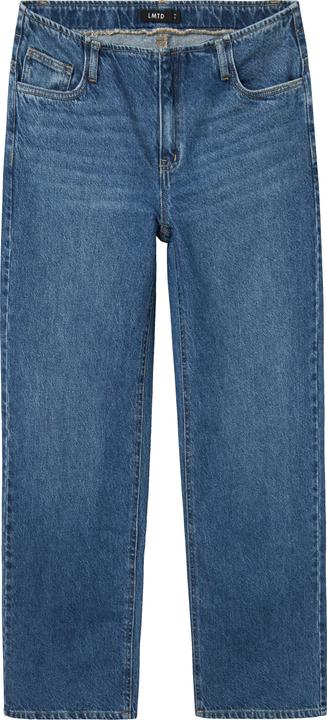Lmtd Denim Hose (146)