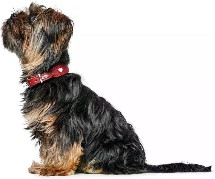 Produktbild Hunter Halsband Love für Hunde 42 (42, Hund, Hundesport)