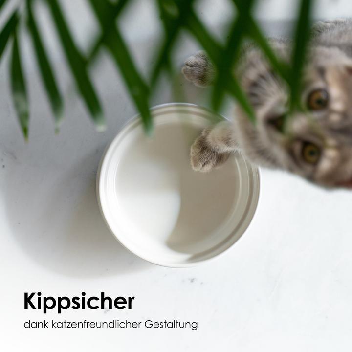 Produktbild LucyBalu BOWL Porzellan Katzennapf