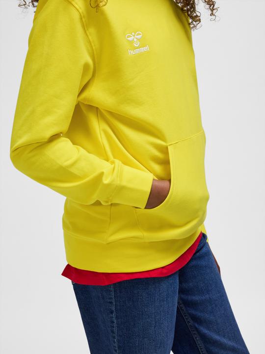 Actual product image hummel HMLGO 2.0 HOODIE KIDS (116)