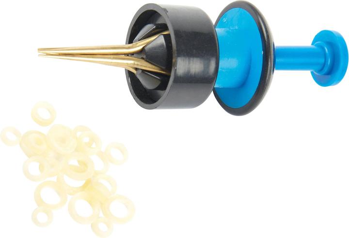 Rameau Spreizer Ring Pellet + 30 Gummibänder