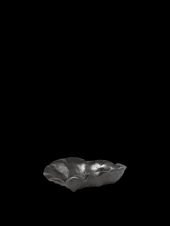Actual product image Ferm Living Oyster (10.5 x 7 x 3 cm)