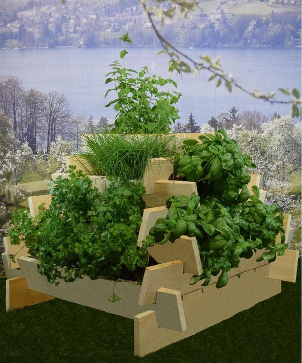Immagine prodotto DIY-Wood Piramide di erbe non trattata