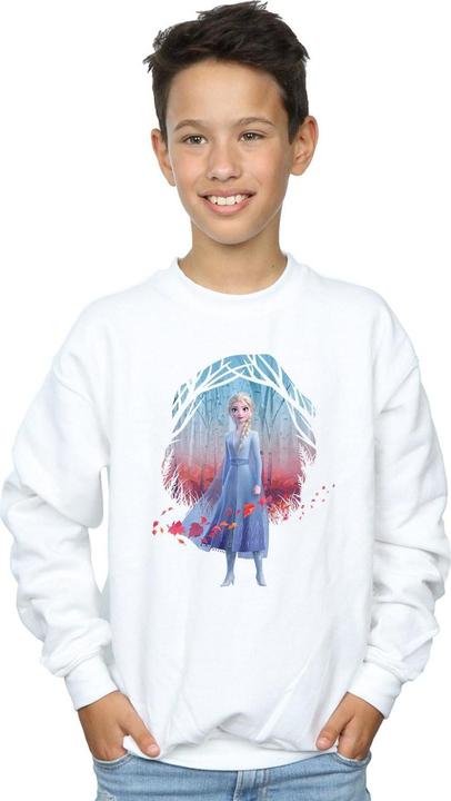 Produktbild Disney Frozen 2 Elsa Find The Way Sweatshirt Jungen (140, 146)