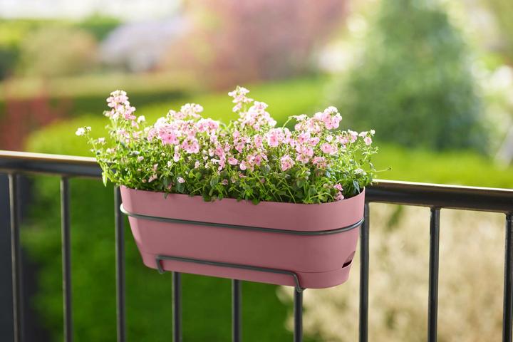 Produktbild Elho Vibia Campana (18.20 cm)