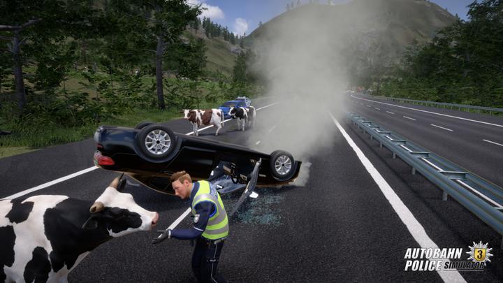 Immagine prodotto Aerosoft Simulatore di polizia autostradale 3 (PS4, DE)