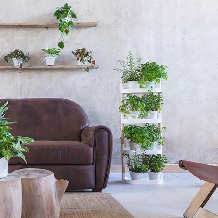 Image du produit CitySens Plant Shelves  white color  4 trays