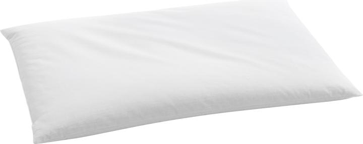 Image du produit Billerbeck Oreiller en millet BIO 52100 (40 x 60 cm)