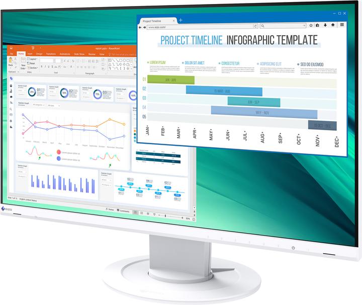 Image du produit Eizo EV2460 FlexScan (1920 x 1080 pixels, 23.80")