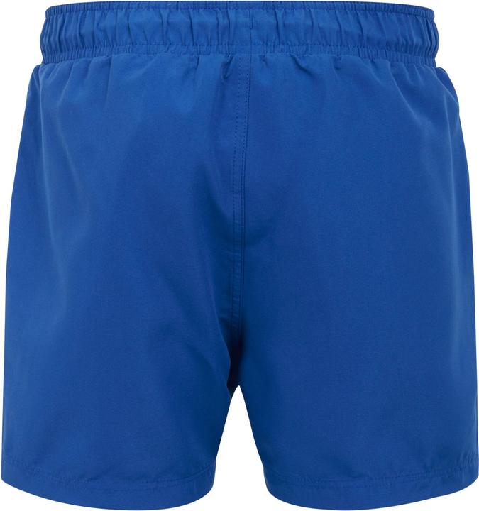 Actual product image Regatta Mens Mawson II Swim Shorts (3XL)