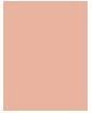 Actual product image Shiseido Waso Koshirice Tinted Spot (Subtle Peach)