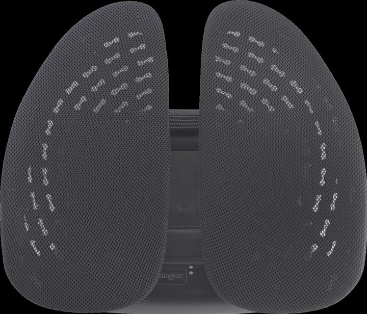 Image du produit Kensington K60412WW Support dorsal réglable SmartFit