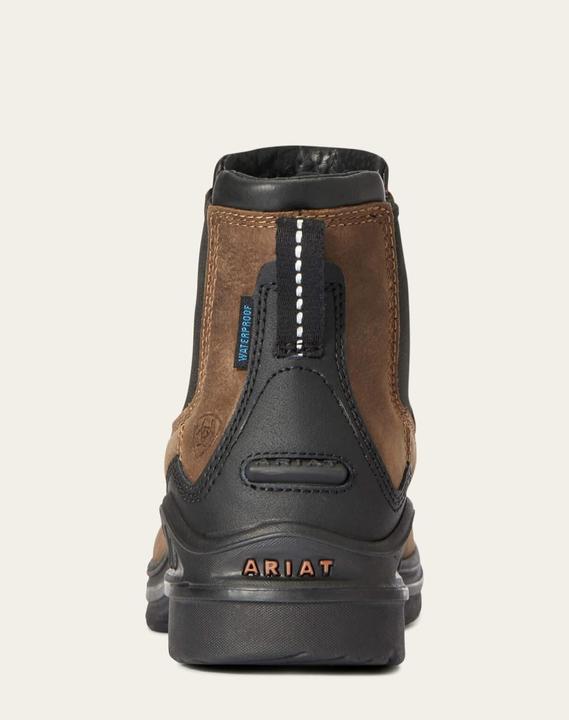 Actual product image Ariat Work shoe Barnyard Twin Gore II ladies (38.5)
