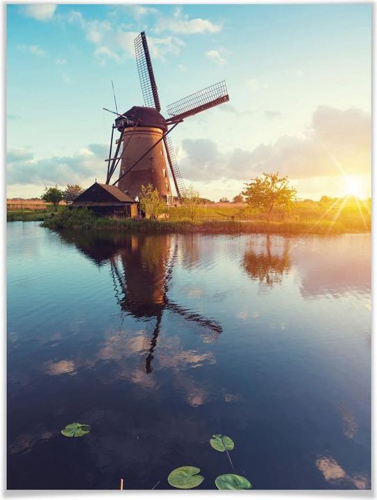 Image du produit Trenddeko Moulin à vent hollandais (40 x 50 cm)