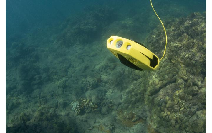 Produktbild Chasing Dory