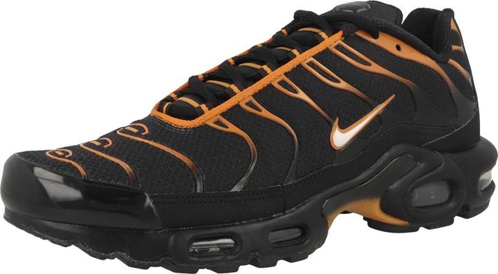 Image du produit Nike Air Max Plus - 63311 (40.5)